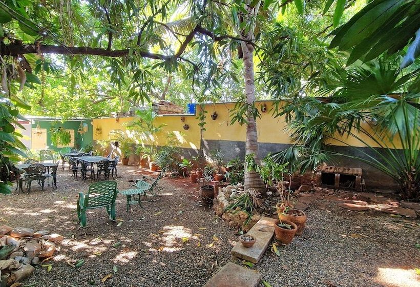 تختخواب و صبحانه Casa Ama