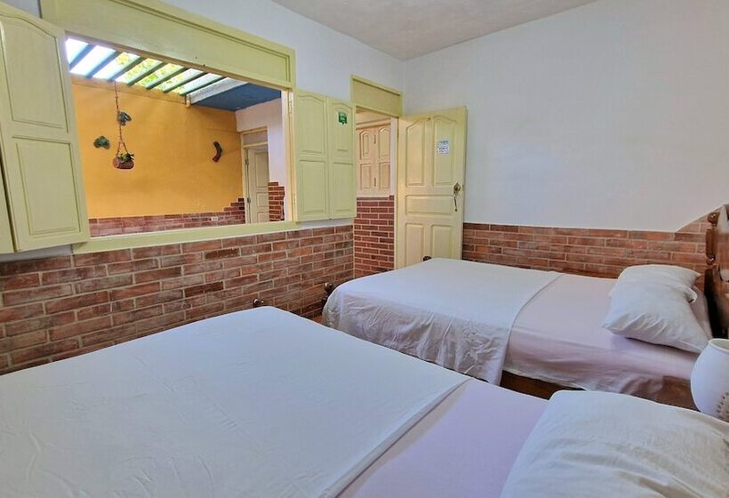 تختخواب و صبحانه Casa Ama