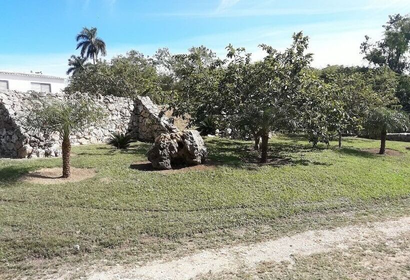 پانسیون Casa Dona Estrella