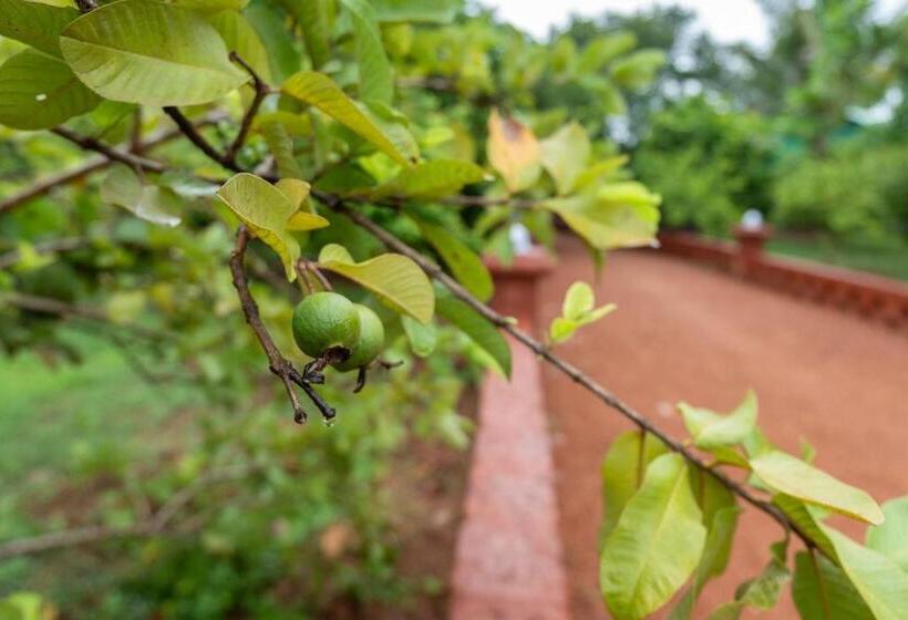 Treebo Green Village Resort   Goa