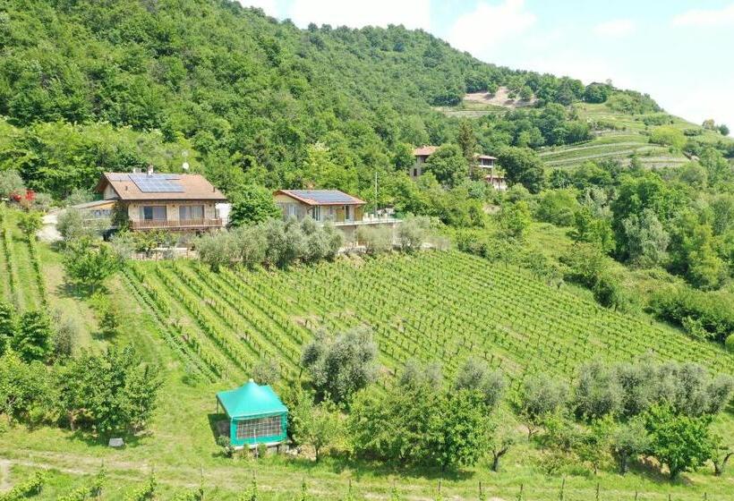 בית מלון כפרי Agriturismo Cà Del Manenti