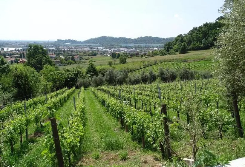 ホテル Agriturismo Cà Del Manenti