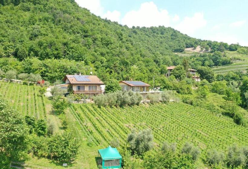 בית מלון כפרי Agriturismo Cà Del Manenti