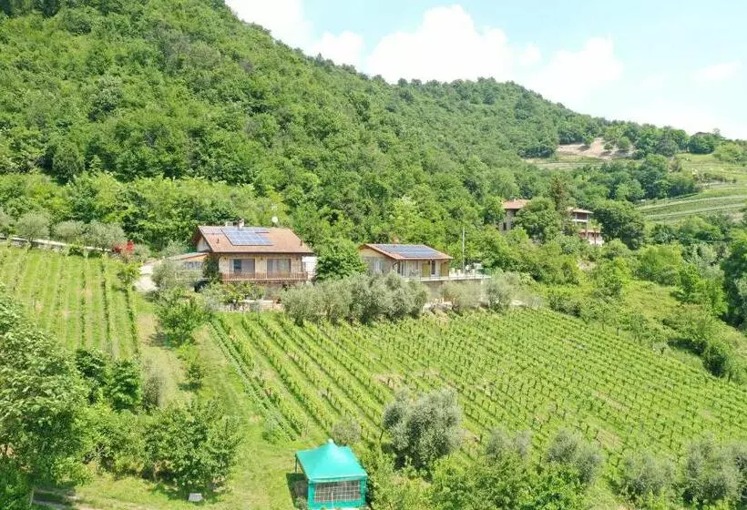 ホテル Agriturismo Cà Del Manenti
