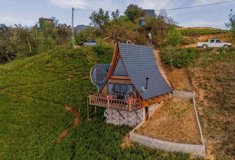 فنادق الكبسولة Himora Bungalov