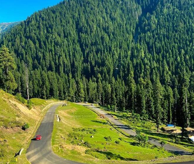 Hotel Green Gallery And Restaurant