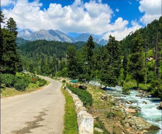 Hotel Green Gallery And Restaurant