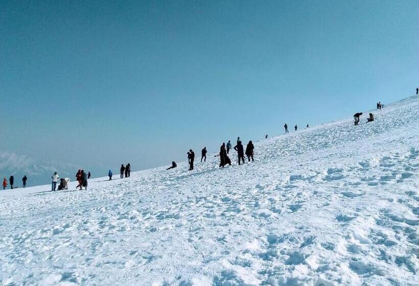 Hotel Green Gallery And Restaurant