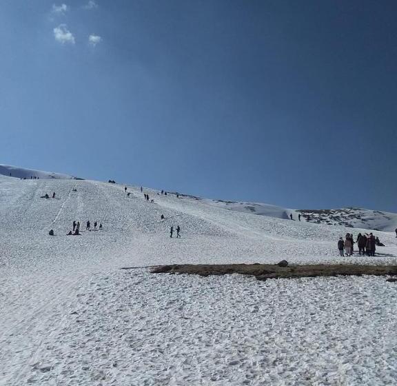 Hotel Green Gallery And Restaurant