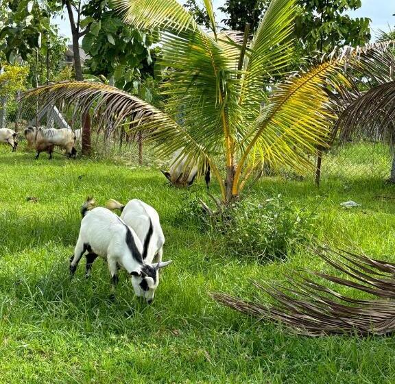 בית מלון כפרי Meenakshi Lakehouse Of M