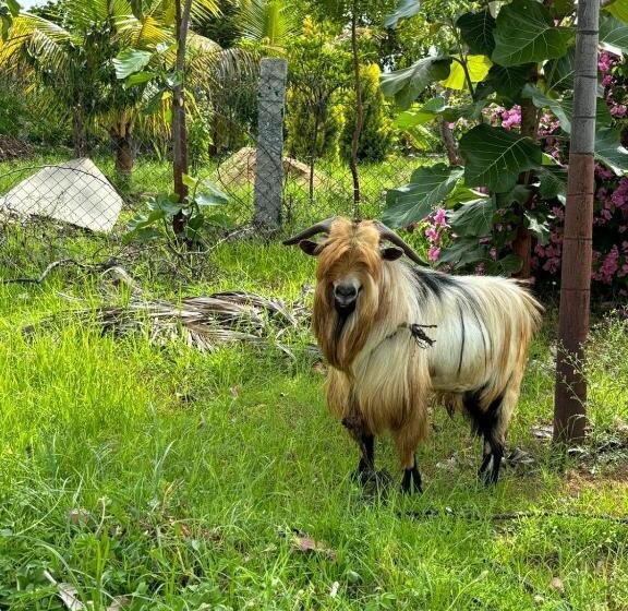 בית מלון כפרי Meenakshi Lakehouse Of M