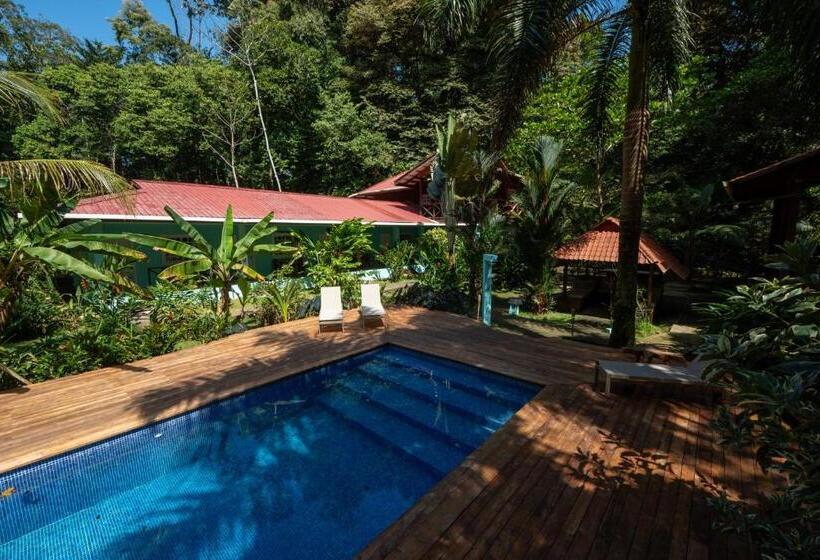 هتل The Monkey Bowl Boutique Skate