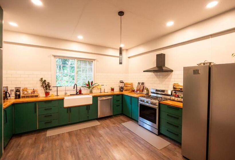 هتل The Monkey Bowl Boutique Skate