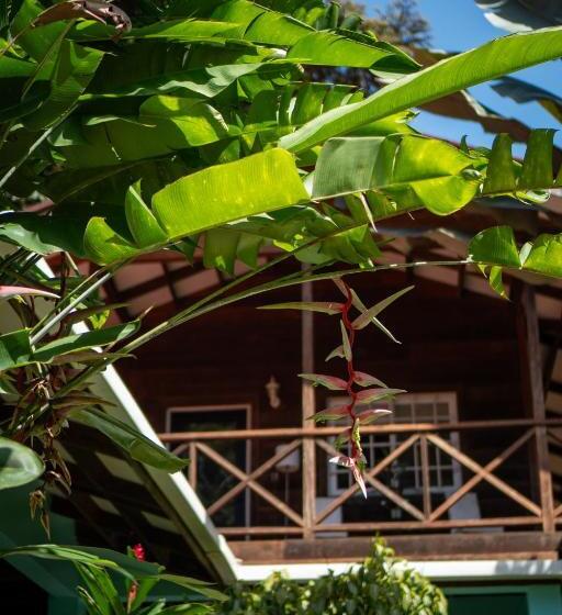 هتل The Monkey Bowl Boutique Skate