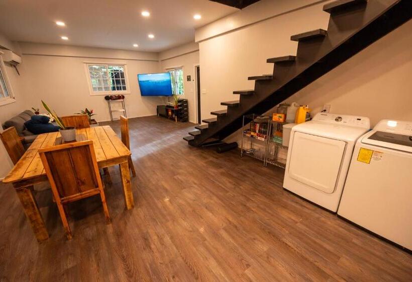 هتل The Monkey Bowl Boutique Skate