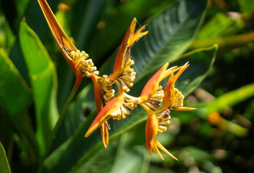 هتل The Monkey Bowl Boutique Skate