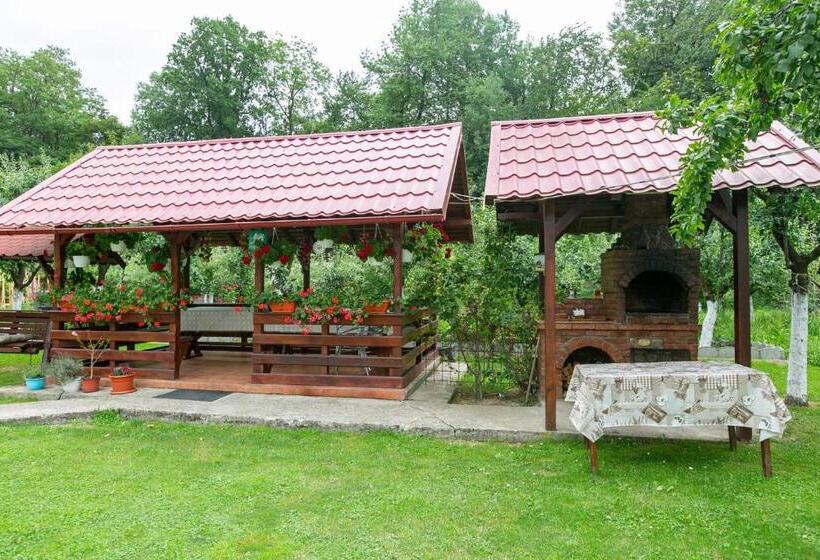 بنسيون Casa Mădălina