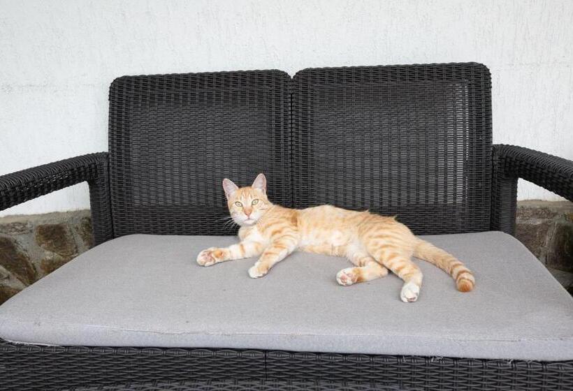 بنسيون Casa Mădălina