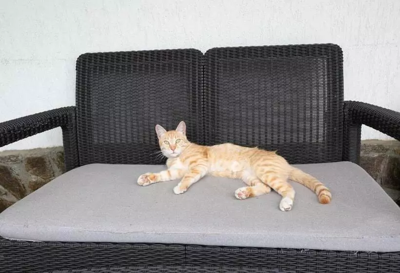 Majatalo Casa Mădălina