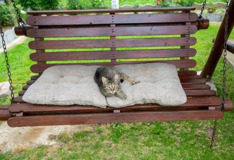 بنسيون Casa Mădălina