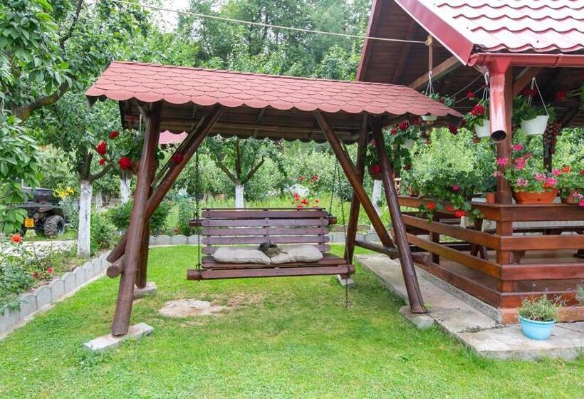 بنسيون Casa Mădălina