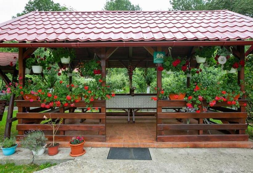 بنسيون Casa Mădălina