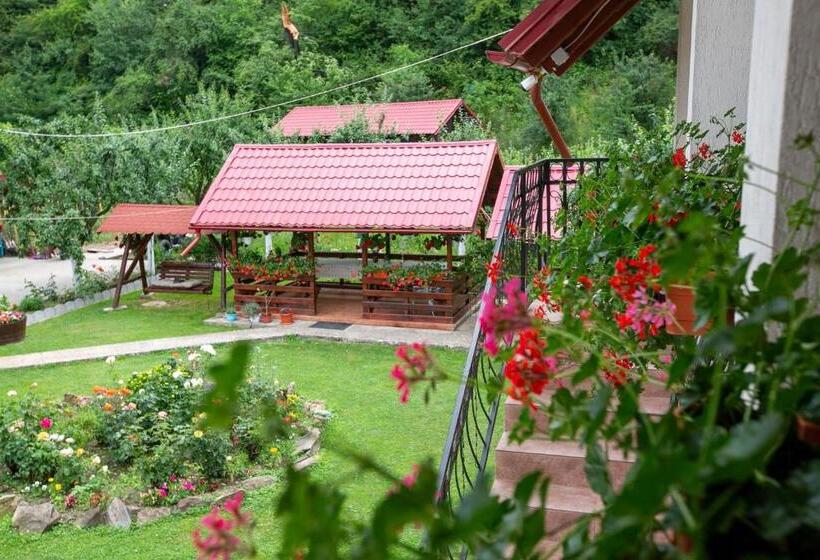 بنسيون Casa Mădălina