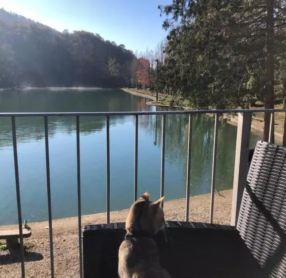 پانسیون W Il Silenzio!
