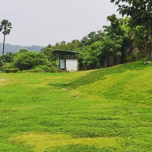 Wood Stock Acres Villa Resort