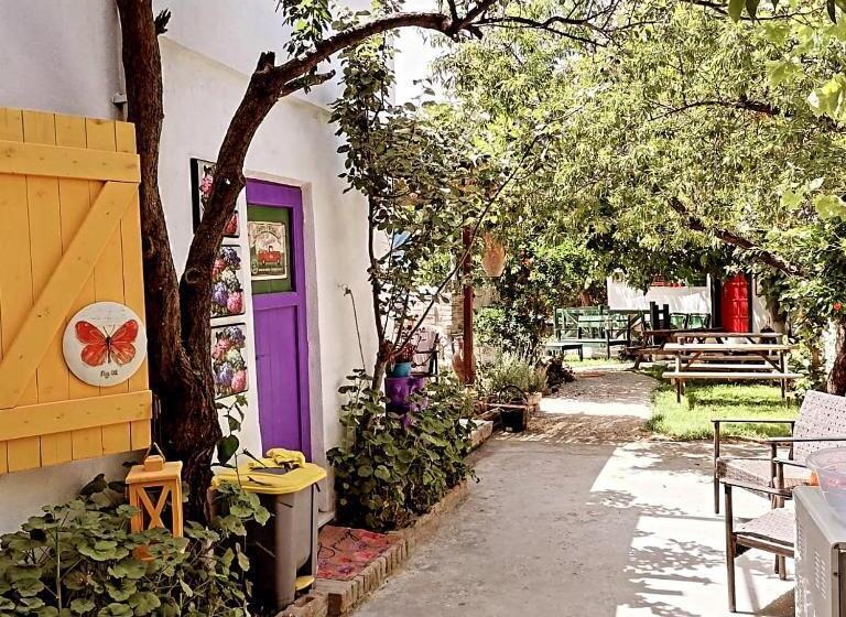 تختخواب و صبحانه History Aparts