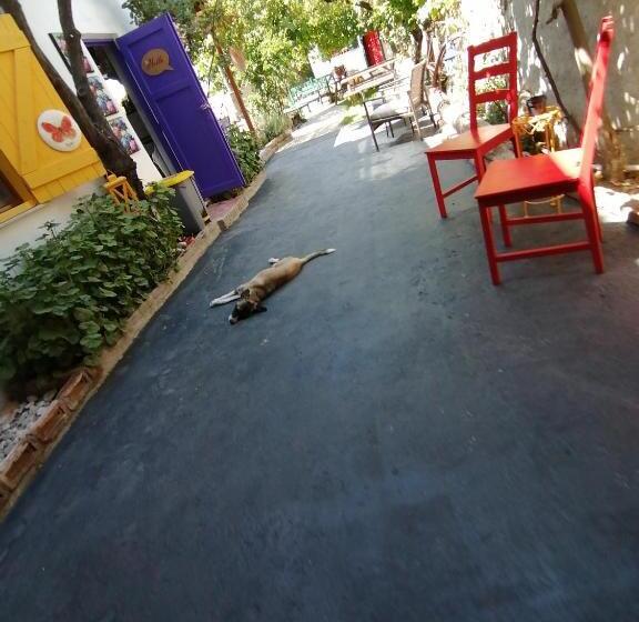 تختخواب و صبحانه History Aparts