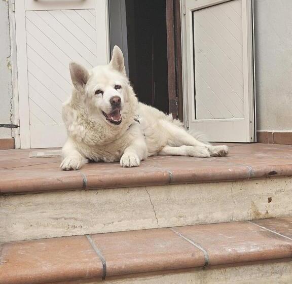 צימר Il Vecchio Lupo