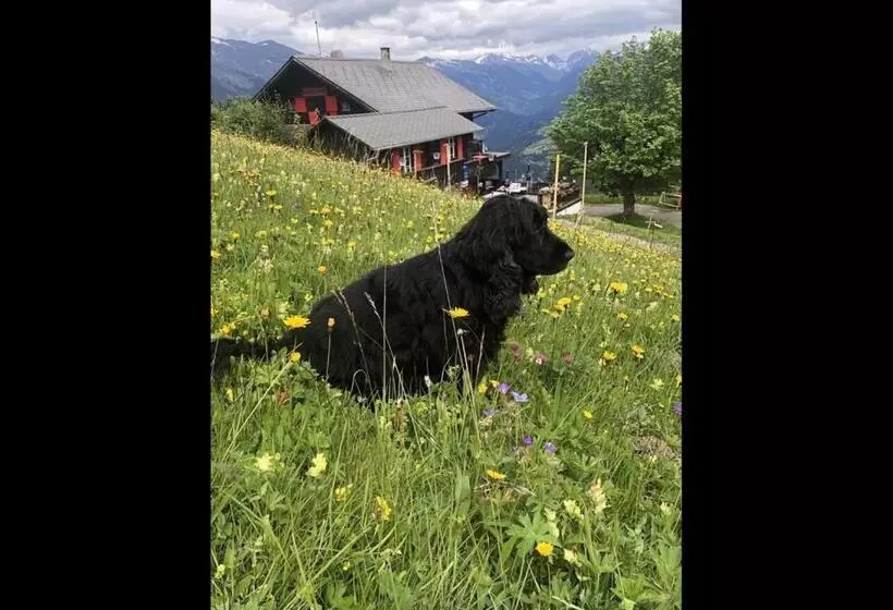 Bergpension Battagliahütte