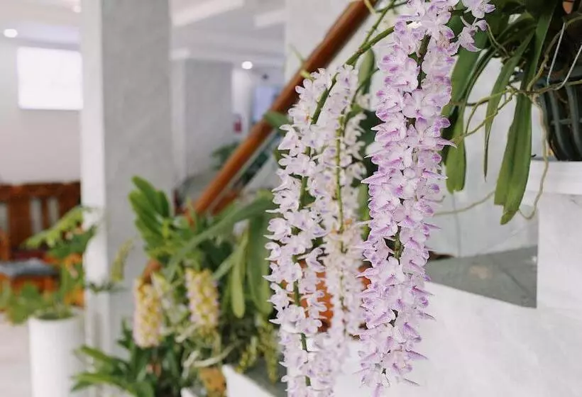 هتل Ivysnow đà Lạt