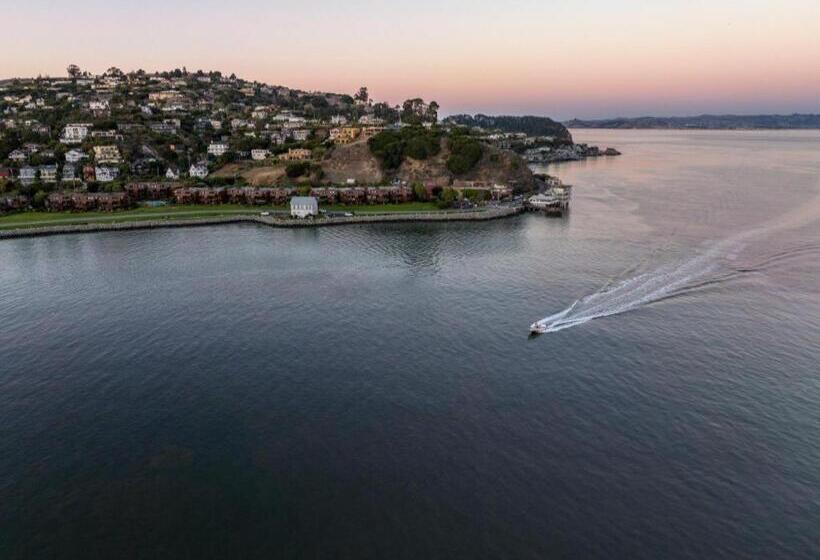 فندق Marin Suites