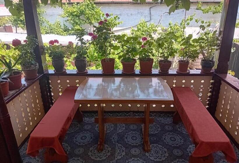 پانسیون Casa Cristian