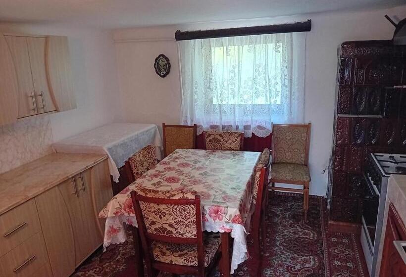 پانسیون Casa Cristian