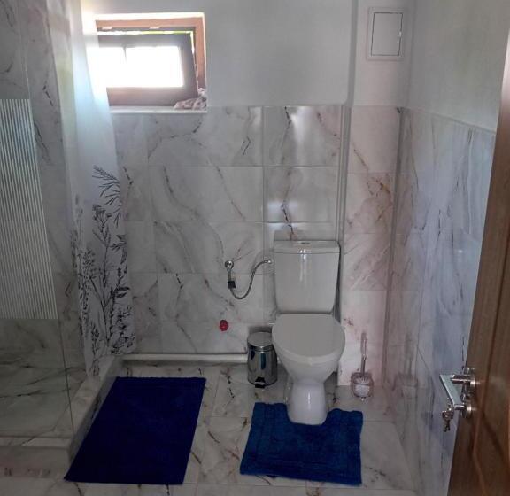 پانسیون Casa Cristian