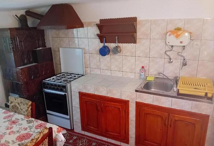 پانسیون Casa Cristian