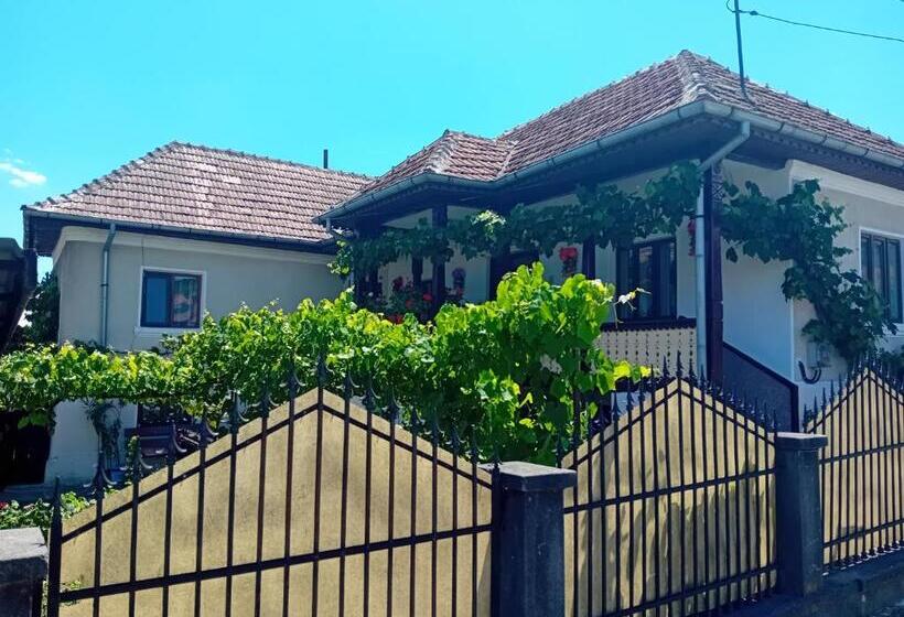 پانسیون Casa Cristian