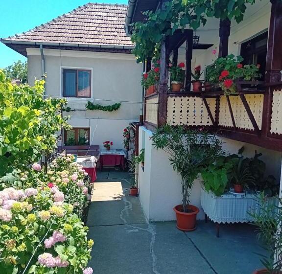 پانسیون Casa Cristian