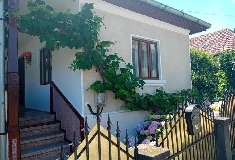 پانسیون Casa Cristian