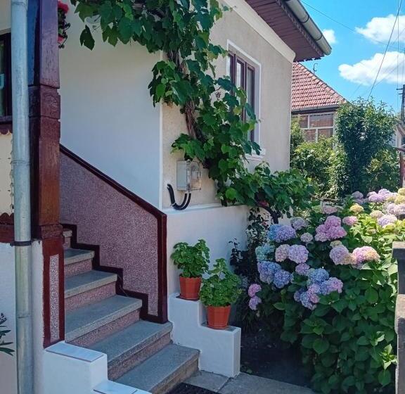 پانسیون Casa Cristian