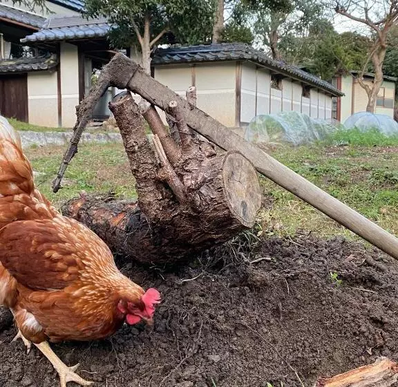 Majatalo 今やima Ya 古民家離れ一棟貸しの農家民宿