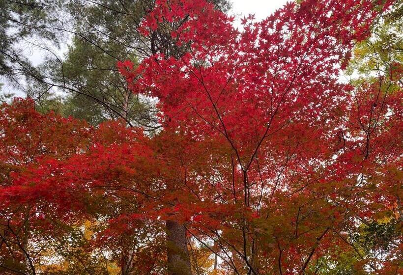 Pensionat 今やima Ya 古民家離れ一棟貸しの農家民宿