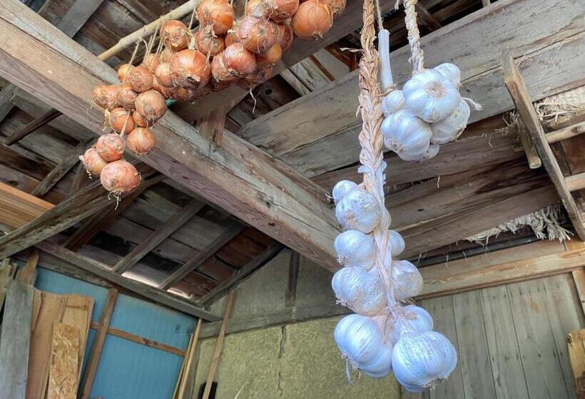 Pensionat 今やima Ya 古民家離れ一棟貸しの農家民宿