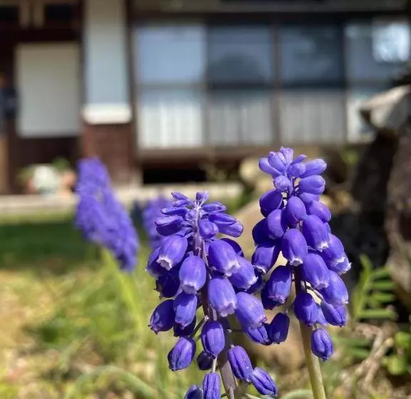 Majatalo 今やima Ya 古民家離れ一棟貸しの農家民宿