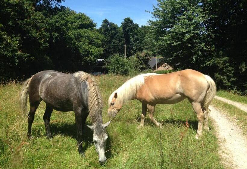 膳宿费 Ressourcement En Nature De Brocéliande