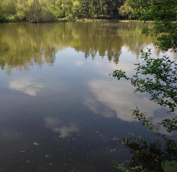 膳宿费 Ressourcement En Nature De Brocéliande