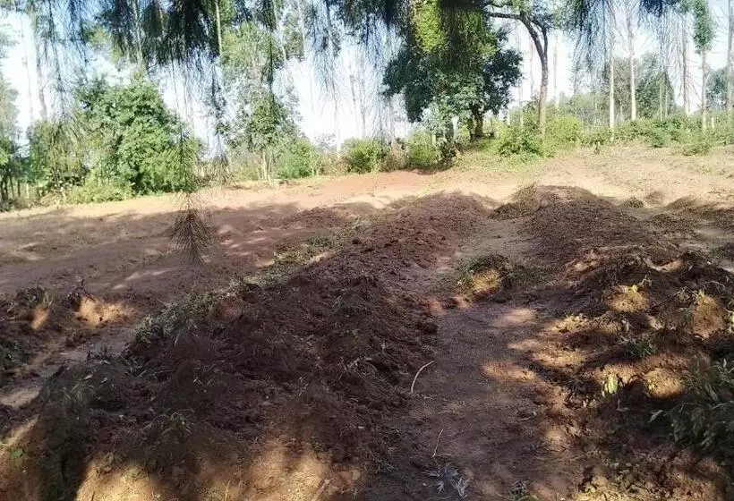 هتل Ikuo Farm